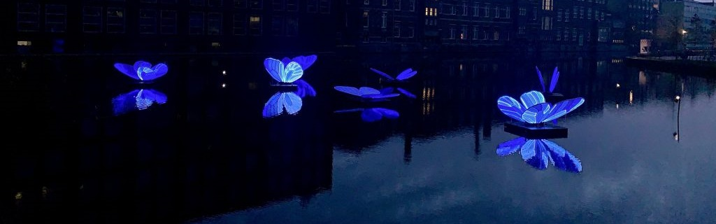Светящиеся бабочки Изображения – скачать бесплатно на Freepik